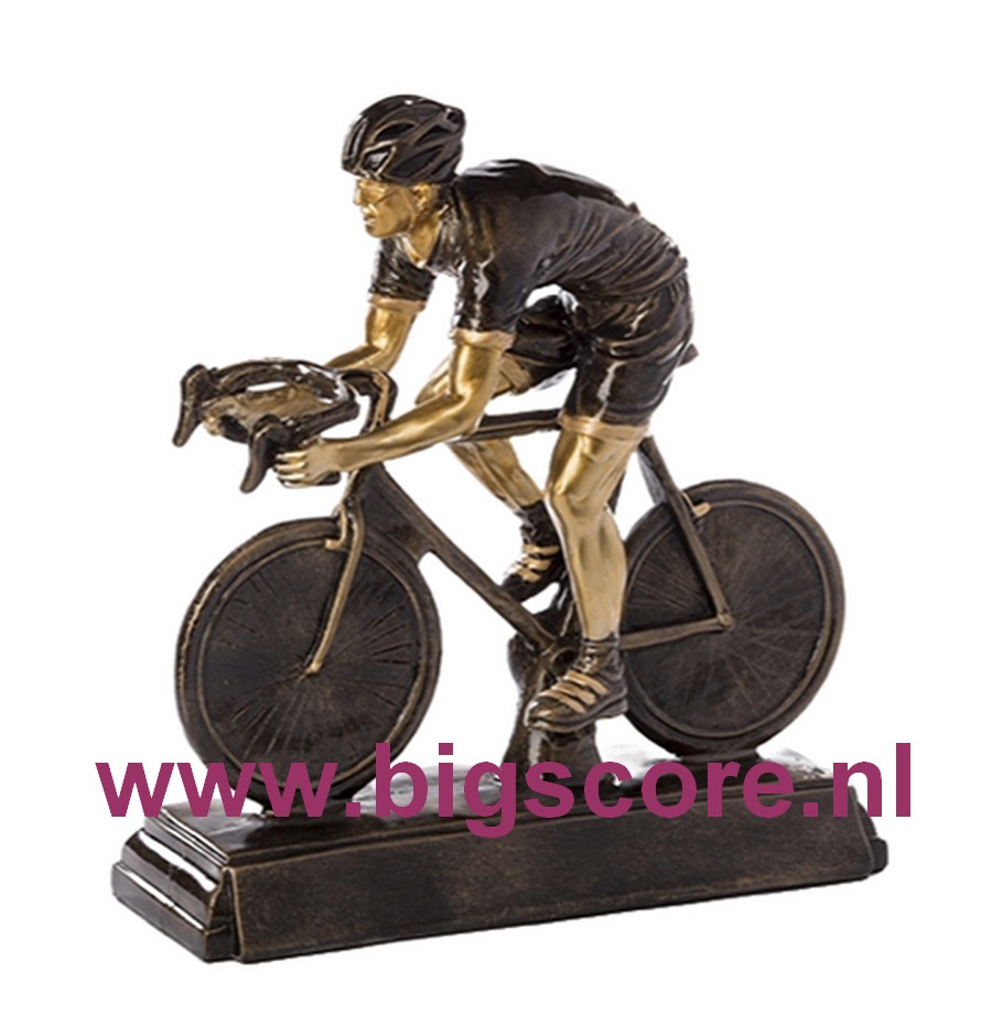 Wielrennen Heren  BSST 39355